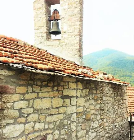 Domus Antiqua *